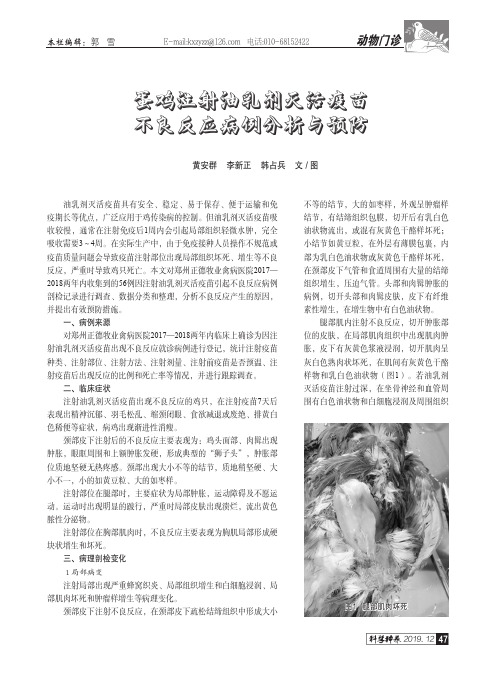 蛋鸡注射油乳剂灭活疫苗不良反应病例分析与预防