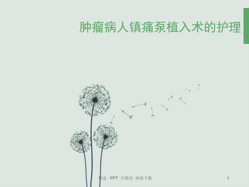 肿瘤病人镇痛泵植入术的护理医学课件