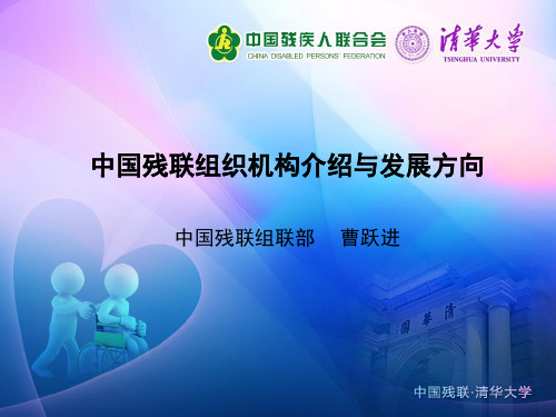 中国残联组织机构介绍与发展方向(1)