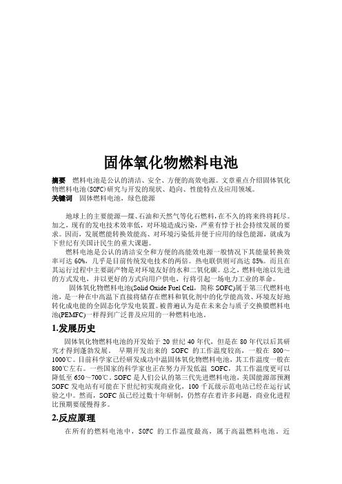 固体燃料电池