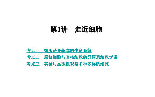 高三生物复习课件精品 第1讲 走近细胞