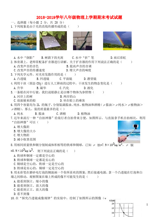 2018_2019学年八年级物理上学期期末考试试题