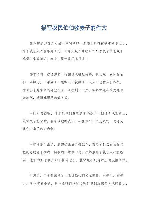 描写农民伯伯收麦子的作文