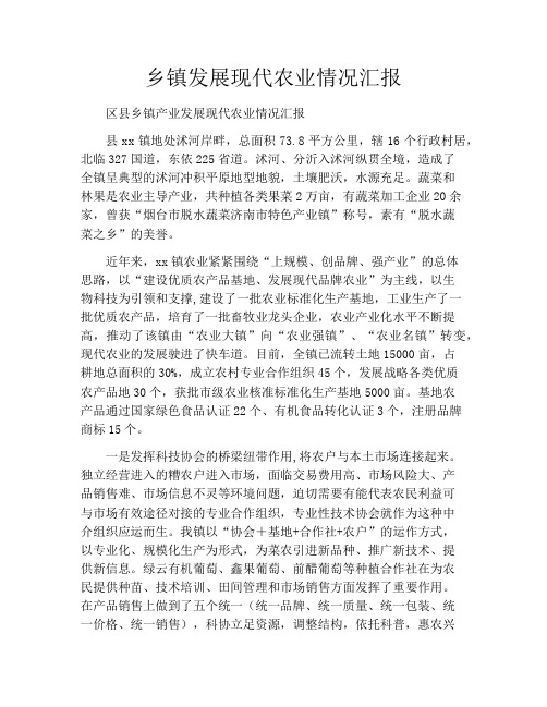 乡镇发展现代农业情况汇报