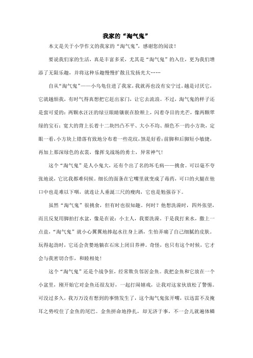 我家的“淘气鬼”_小学作文