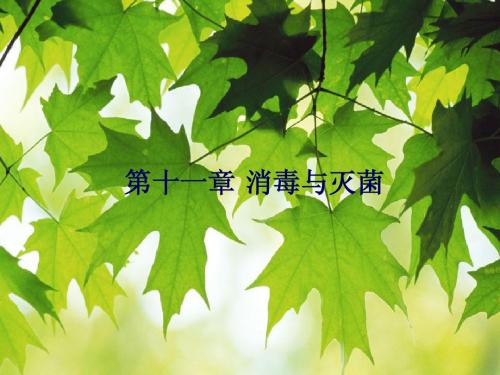 第11消毒与灭菌