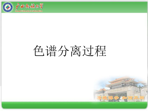 色谱分离过程