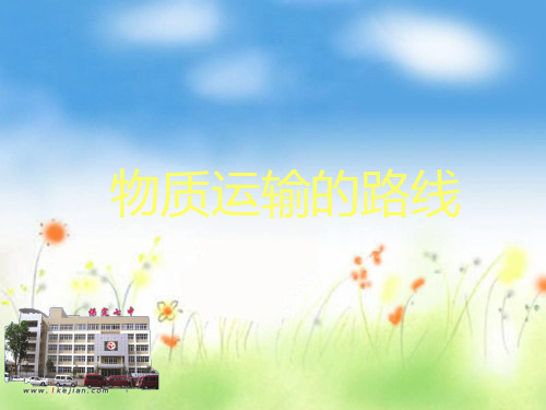 物质运输的路线 课件