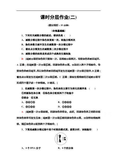 高中生物新同步苏教生物必修课时作业 减数分裂 含解析