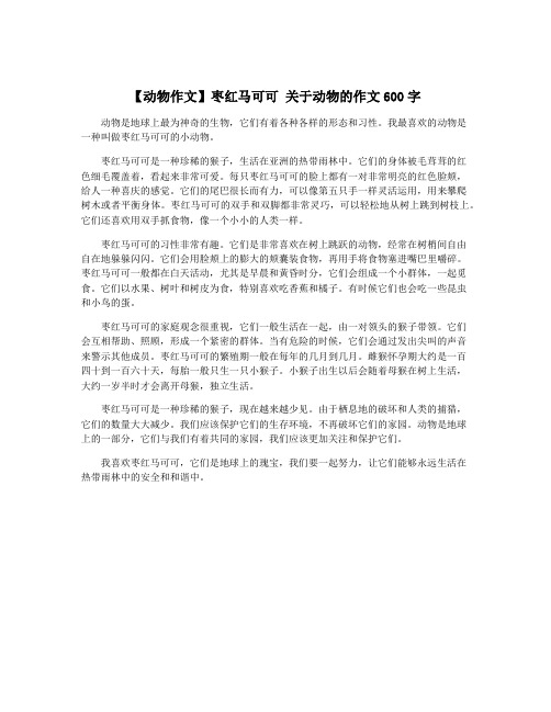 【动物作文】枣红马可可 关于动物的作文600字