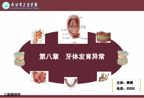第八章牙体发育异常