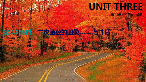 中考数学总复习 第三单元 函数 第13课时 二次函数的图像与性质课件