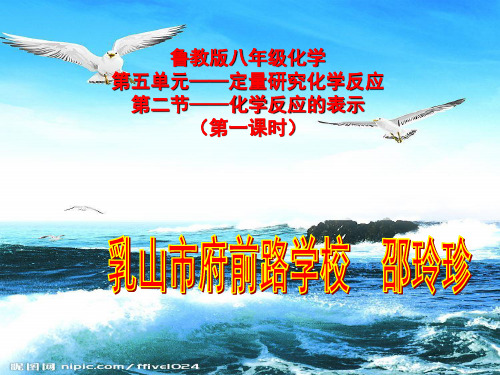 鲁教版(五四)化学八年级5.2《化学反应的表示》课件 (共17张PPT)