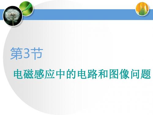 2020年江苏高考物理总复习课件：电磁感应中的电路和图像问题
