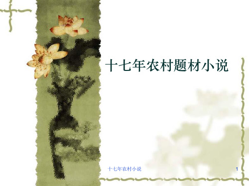 十七年农村小说 ppt课件