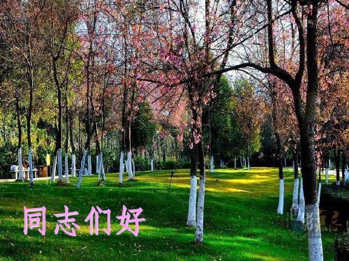 医生的人文修养