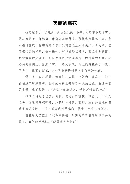 美丽的雪花_四年级作文