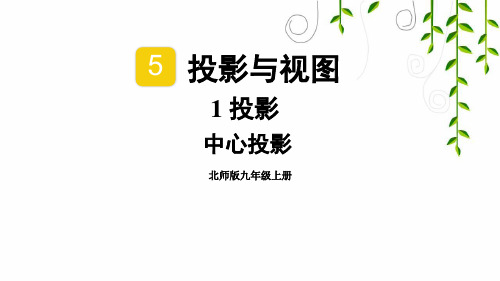 2021年北师版数学九年级上册第1课时 中心投影课件