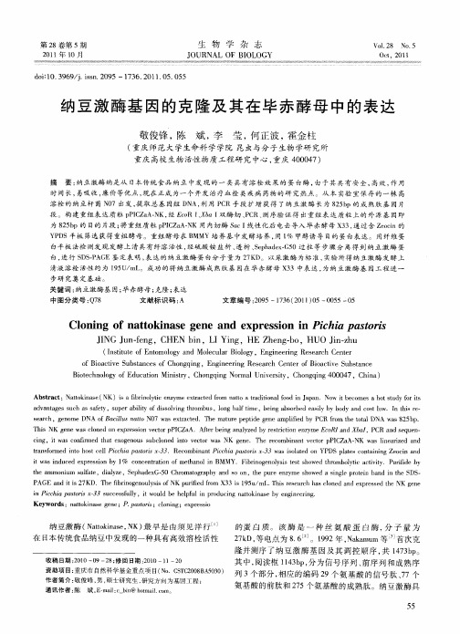 纳豆激酶基因的克隆及其在毕赤酵母中的表达