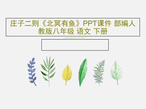 庄子二则《北冥有鱼》PPT课件 部编人教版八年级 语文 下册26页PPT