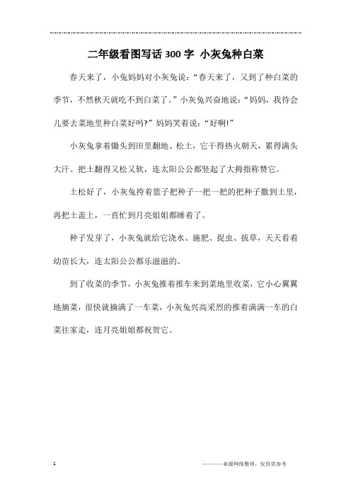二年级看图写话300字 小灰兔种白菜