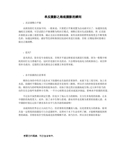 单反摄影之海底摄影的瞬间