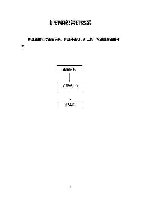 护理组织管理体系