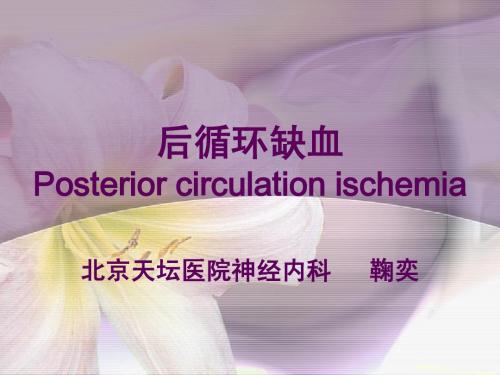 后循环缺血北京天坛医院神经内科