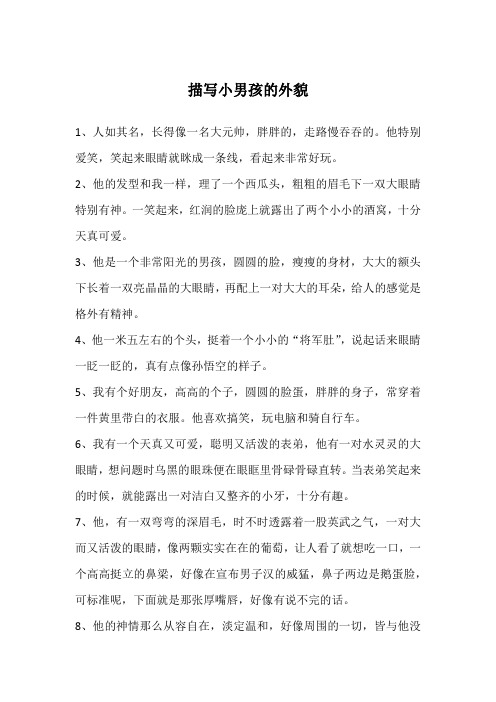 描写小男孩的外貌