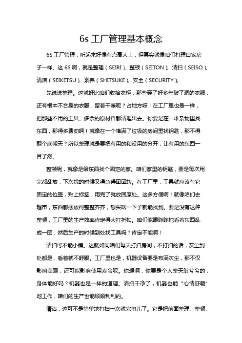 6s工厂管理基本概念