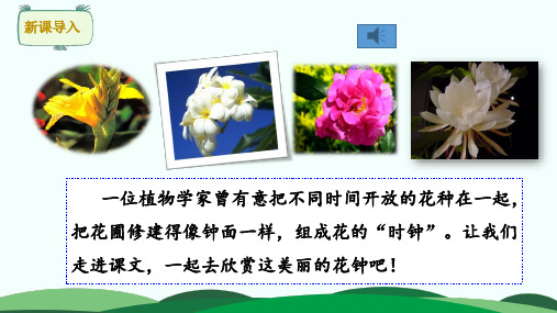 部编三年级语文下册13 花钟(2课时)