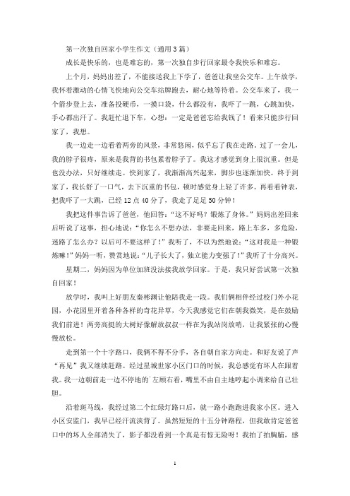 第一次独自回家小学生作文(通用3篇最新)