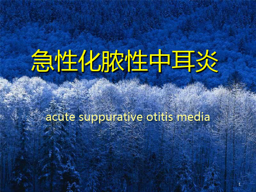 急性化脓性中耳炎PPT课件