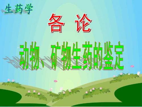 动物、矿物类