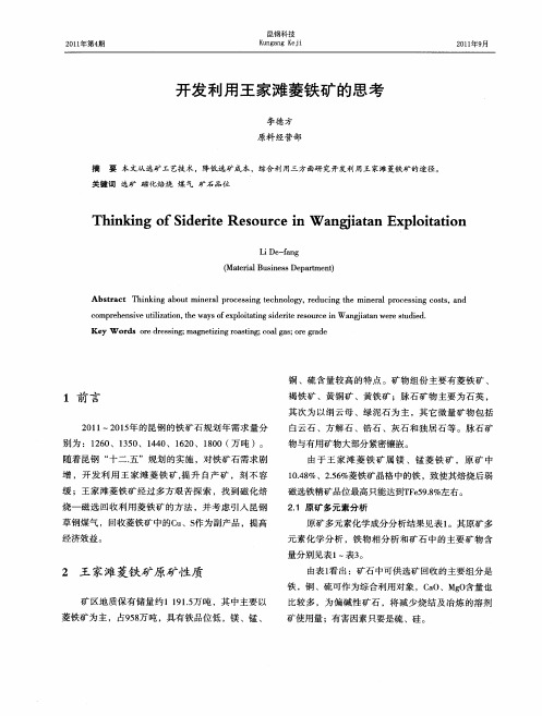 开发利用王家滩菱铁矿的思考