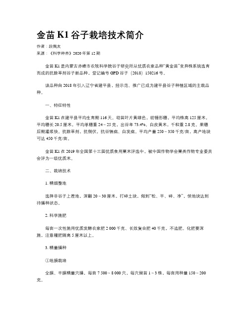 金苗K1谷子栽培技术简介