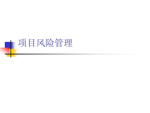 项目管理9项目风险管理.pptx
