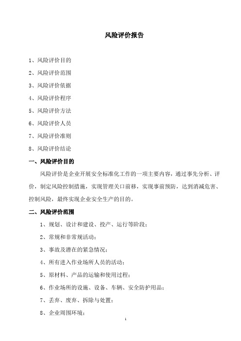 风险评价报告