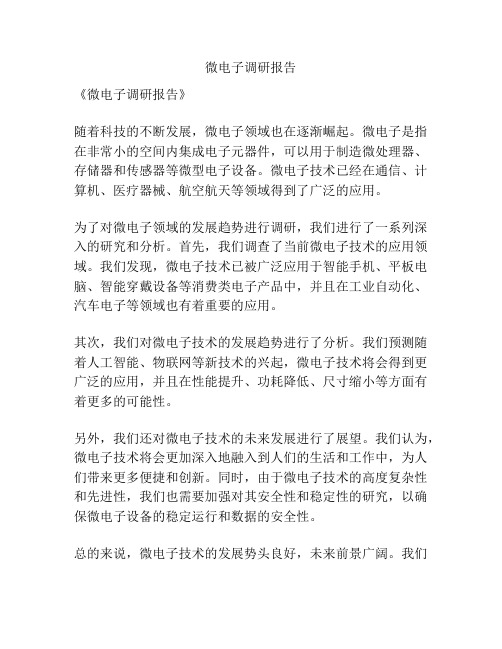 微电子调研报告