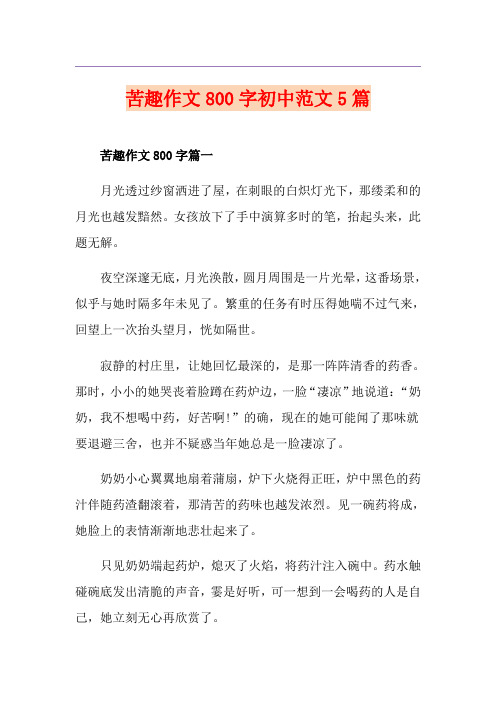 苦趣作文800字初中范文5篇