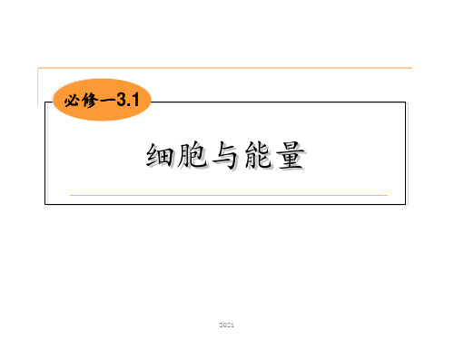 3.1细胞与能量PPT课件