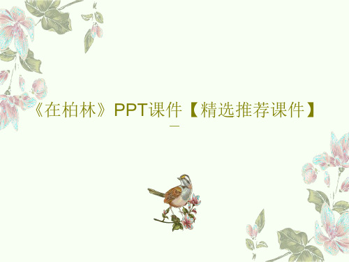《在柏林》PPT课件【精选推荐课件】共34页文档