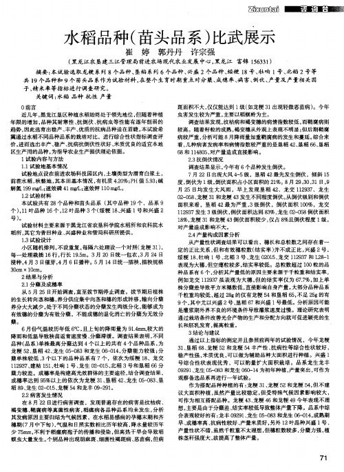 水稻品种(苗头品系)比武展示