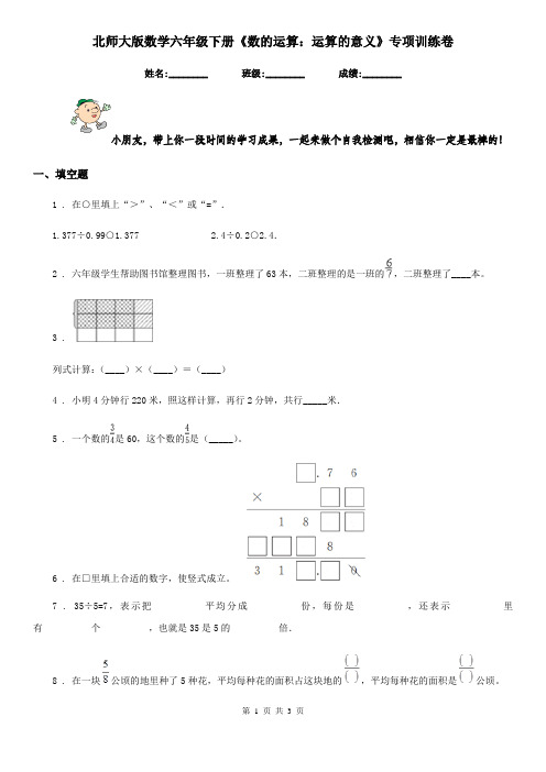 北师大版 数学六年级下册《数的运算：运算的意义》专项训练卷