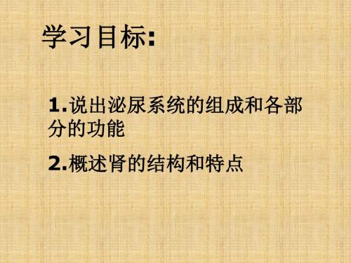 2018苏教版生物七年级下册11.1《人体泌尿系统的组成》ppt课件