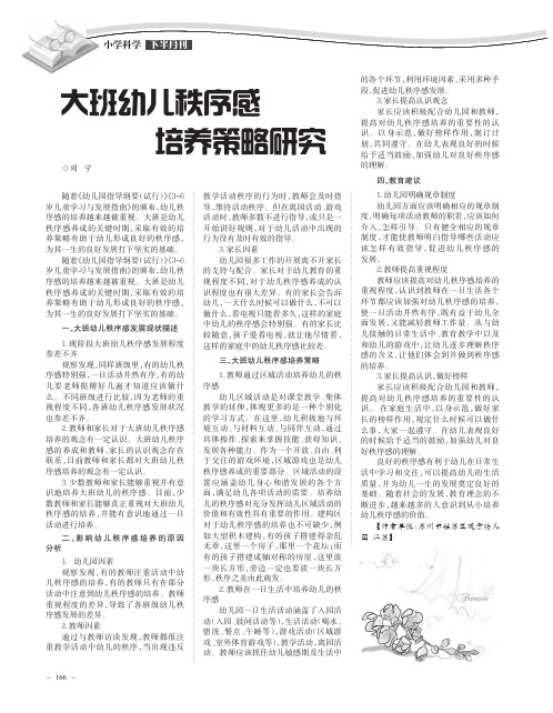 大班幼儿秩序感培养策略研究
