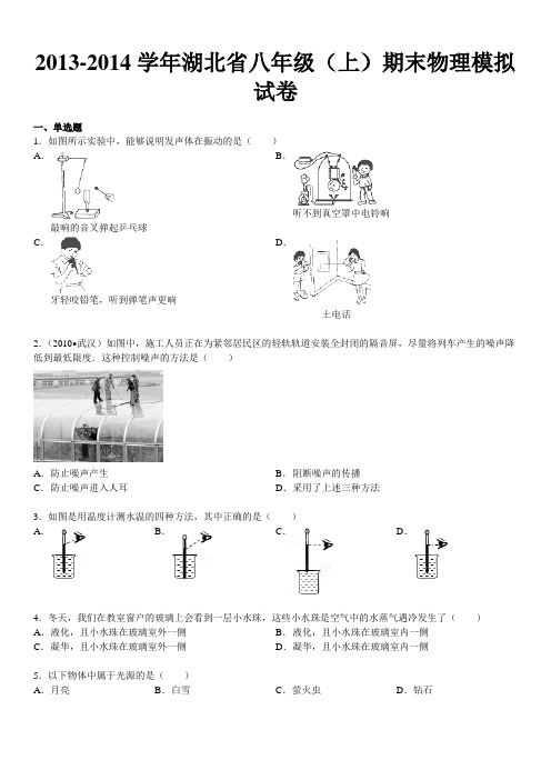 2013-2014学年湖北省八年级(上)期末物理模拟试卷