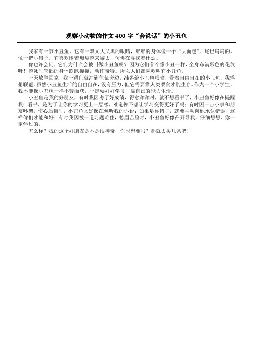 观察小动物的作文400字 “会说话”的小丑鱼
