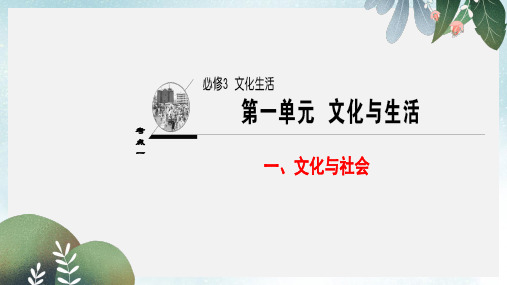 2019-2020年新人教版高三政治一轮复习第1单元文化与生活一文化与社会课件必修3