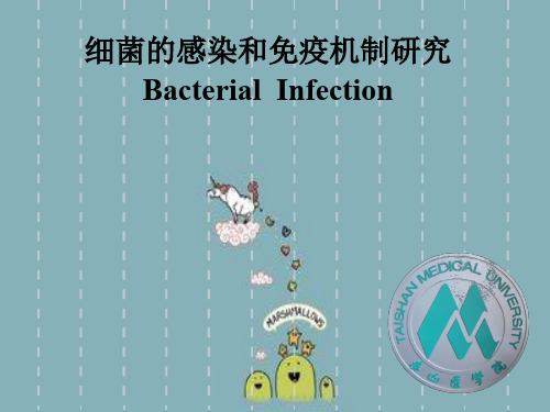 细菌的感染和免疫机制研究